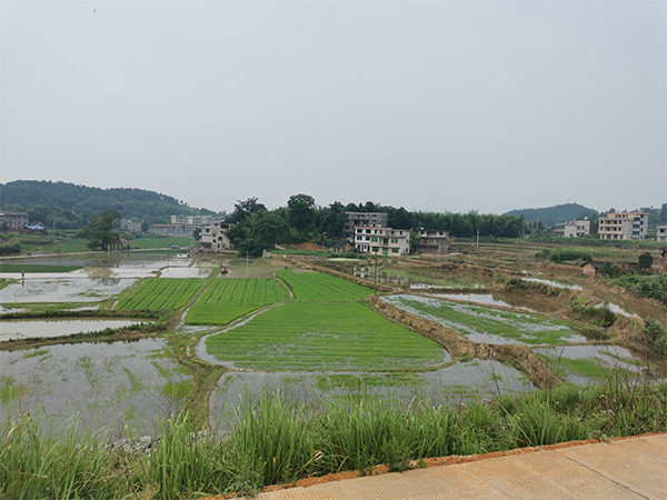 隆回縣城東村鄉(xiāng)村振興建設(shè)
